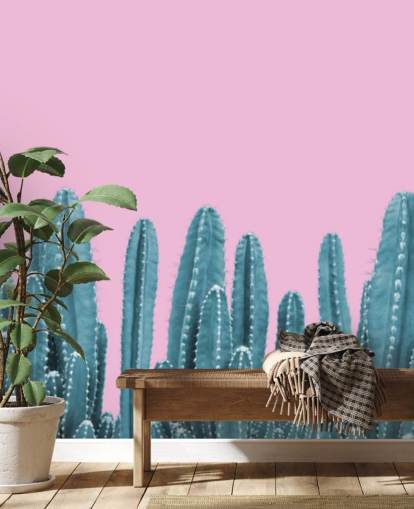 papier peint cactus rose et bleu sarcelle