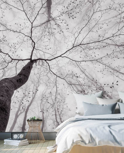 black and white tree view from the ground wallpaper black and white tree view from the ground wallpaper