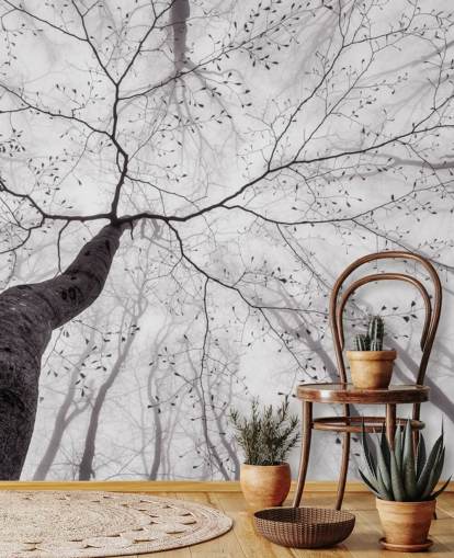 black and white tree view from the ground wallpaper