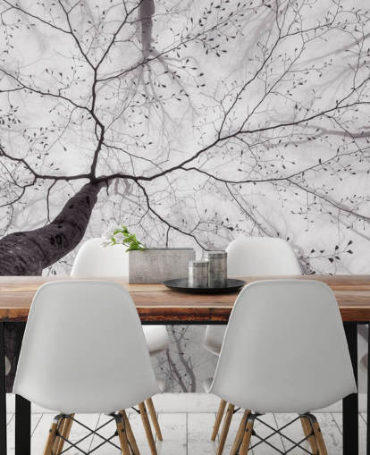 black and white tree view from the ground wallpaper black and white tree view from the ground wallpaper