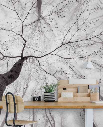 black and white tree view from the ground wallpaper black and white tree view from the ground wallpaper