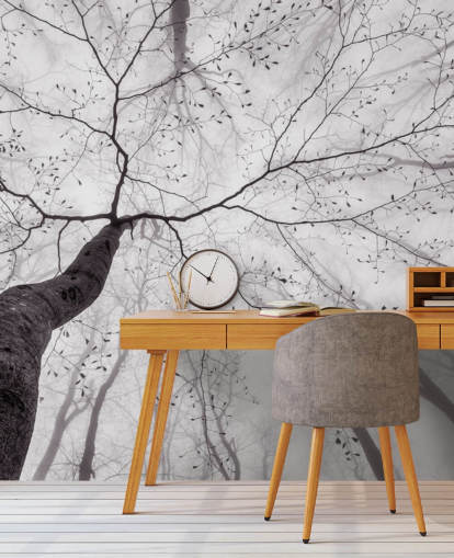 black and white tree view from the ground wallpaper