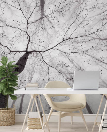 black and white tree view from the ground wallpaper