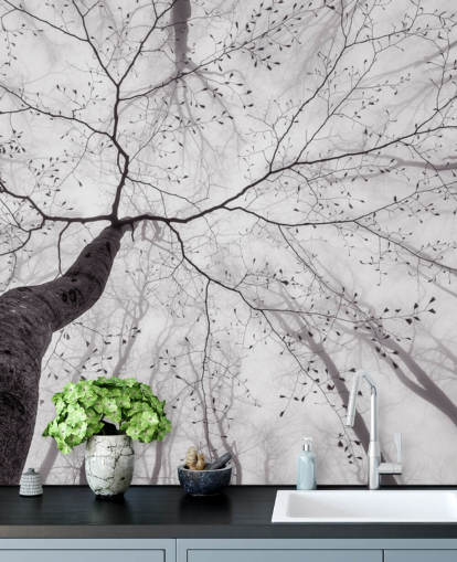 black and white tree view from the ground wallpaper