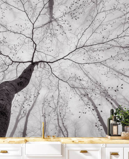 albero bianco e nero vista da terra carta da parati albero bianco e nero vista da terra carta da parati