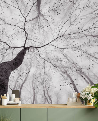 albero bianco e nero vista da terra carta da parati