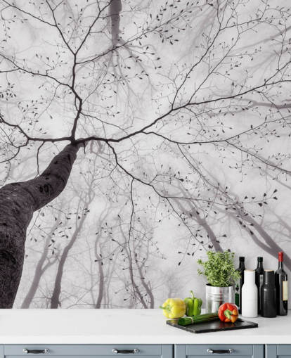 albero bianco e nero vista da terra carta da parati