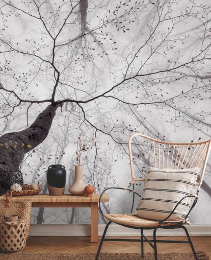 albero bianco e nero vista da terra carta da parati