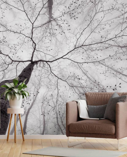 black and white tree view from the ground wallpaper black and white tree view from the ground wallpaper