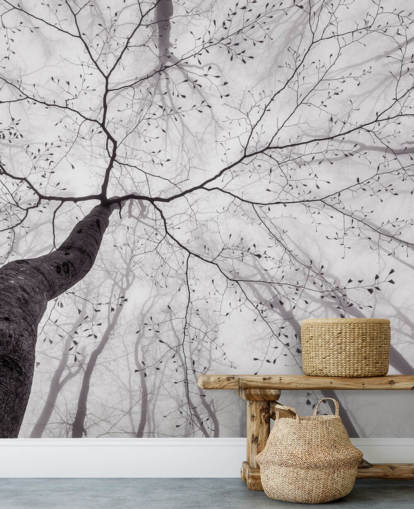 albero bianco e nero vista da terra carta da parati albero bianco e nero vista da terra carta da parati