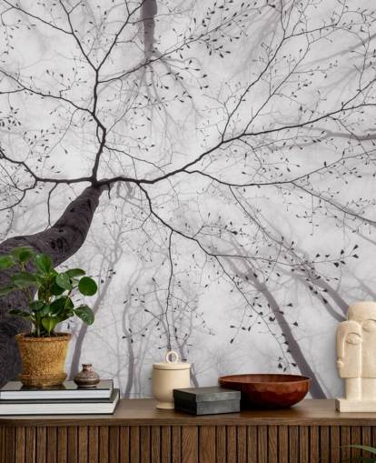 black and white tree view from the ground wallpaper