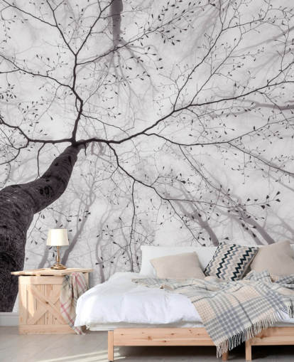 black and white tree view from the ground wallpaper black and white tree view from the ground wallpaper