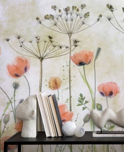 growing poppies wall mural growing poppies wall mural