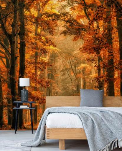 herfst bos behangmuurschildering