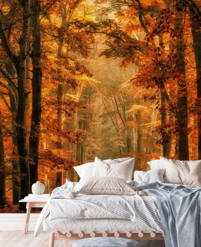 autumn forest wallpaper mural