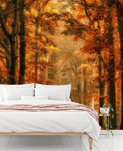 herfst bos behangmuurschildering