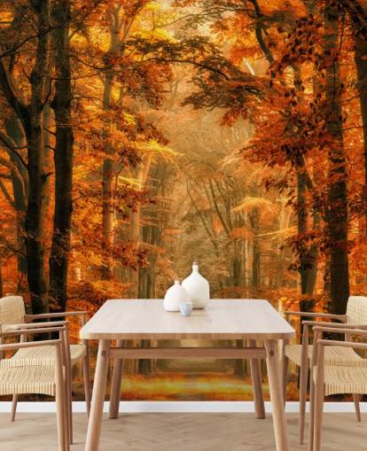 papier peint mural de la forêt d'automne papier peint mural de la forêt d'automne