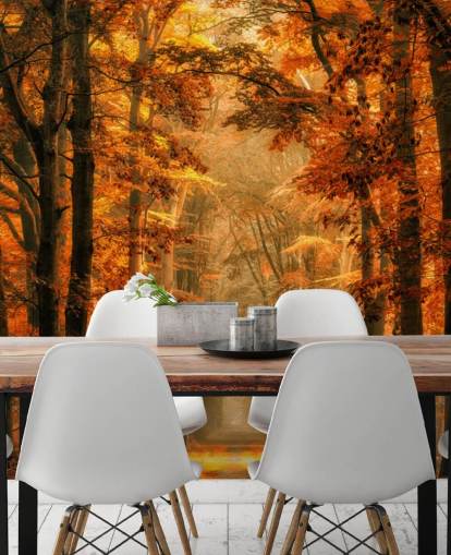 herfst bos behangmuurschildering