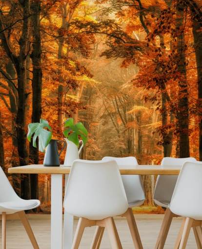autumn forest wallpaper mural
