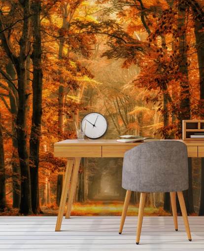 autumn forest wallpaper mural