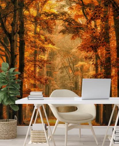 carta da parati murale con foresta autunnale