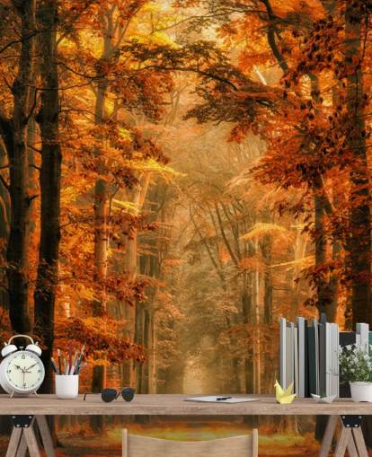 autumn forest wallpaper mural