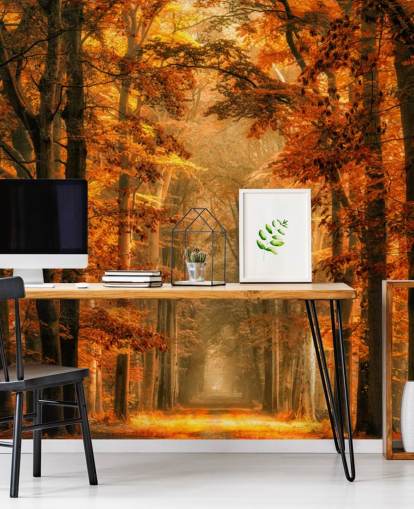 carta da parati murale con foresta autunnale