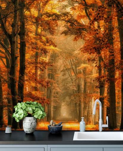 mural de papel pintado de bosque otoñal