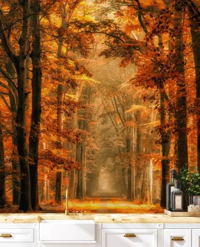 autumn forest wallpaper mural