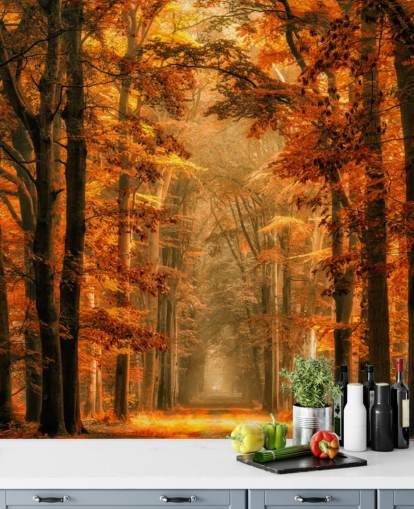 carta da parati murale con foresta autunnale