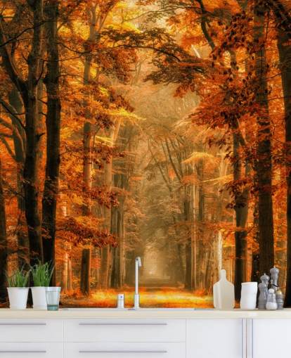 mural de papel pintado de bosque otoñal mural de papel pintado de bosque otoñal