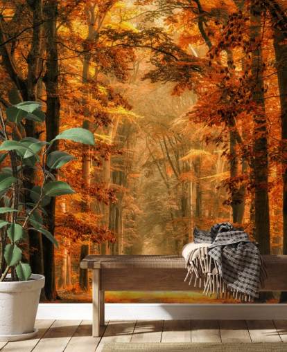 papier peint mural de la forêt d'automne