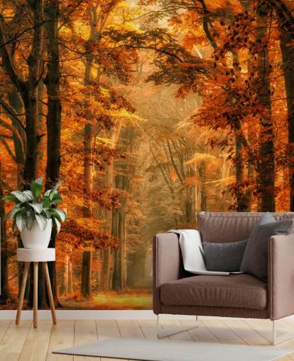 herfst bos behangmuurschildering