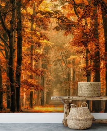 papier peint mural de la forêt d'automne