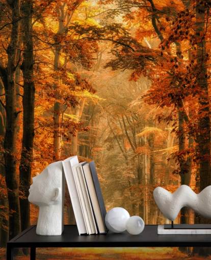 autumn forest wallpaper mural
