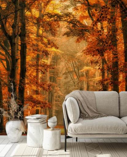 autumn forest wallpaper mural