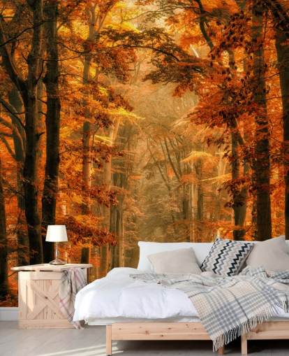 herfst bos behangmuurschildering
