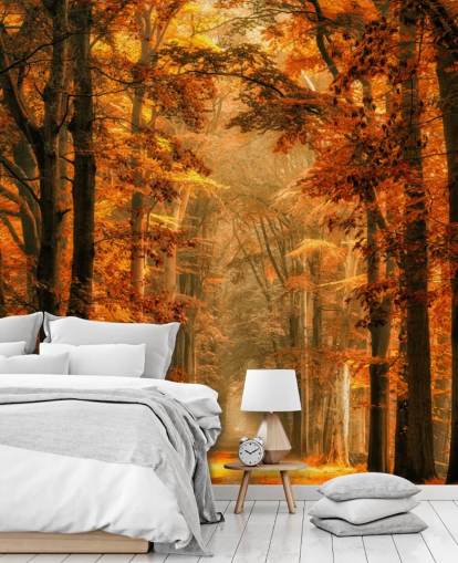 herfst bos behangmuurschildering
