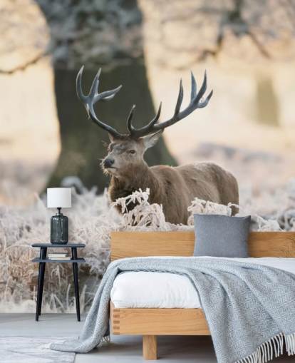 cerf en hiver fond d'écran cerf en hiver fond d'écran