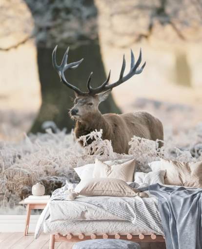 stag in winter setting wallpaper
