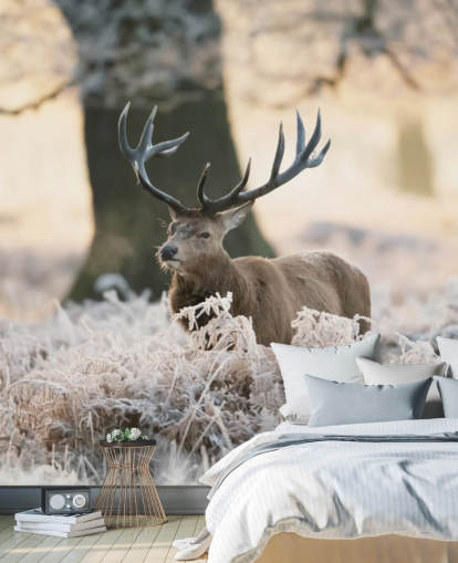 fondo de pantalla de ciervo en invierno