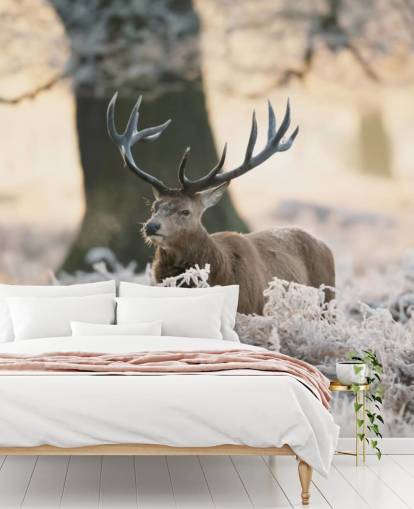 stag in winter setting wallpaper