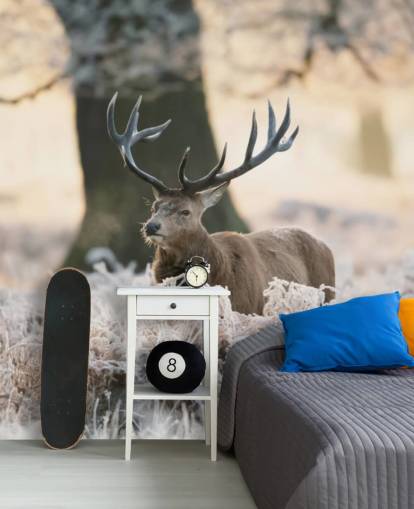 stag in winter setting wallpaper stag in winter setting wallpaper