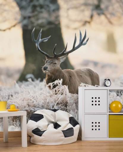 cerf en hiver fond d'écran cerf en hiver fond d'écran