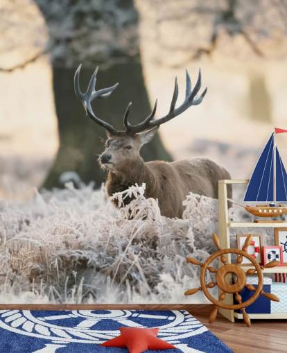 stag in winter setting wallpaper