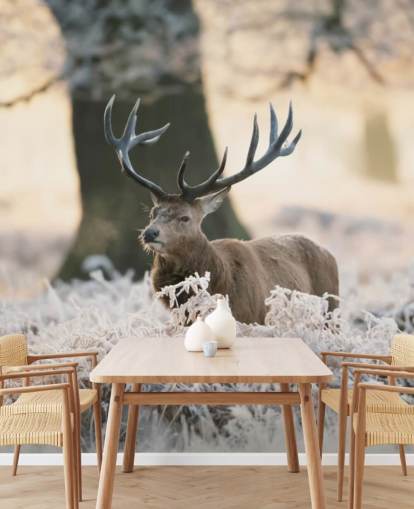 stag in winter setting wallpaper