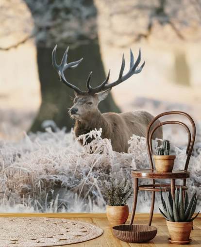 Hirsch im Winter Einstellung Tapete