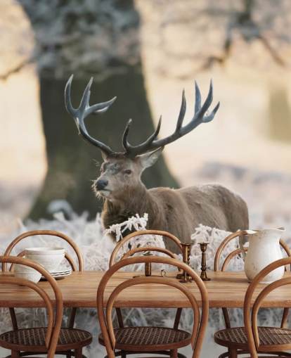 stag in winter setting wallpaper