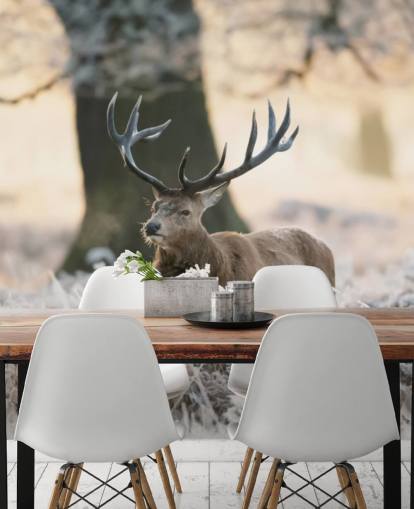 stag in winter setting wallpaper stag in winter setting wallpaper