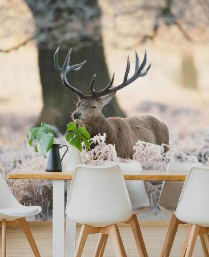 stag in winter setting wallpaper